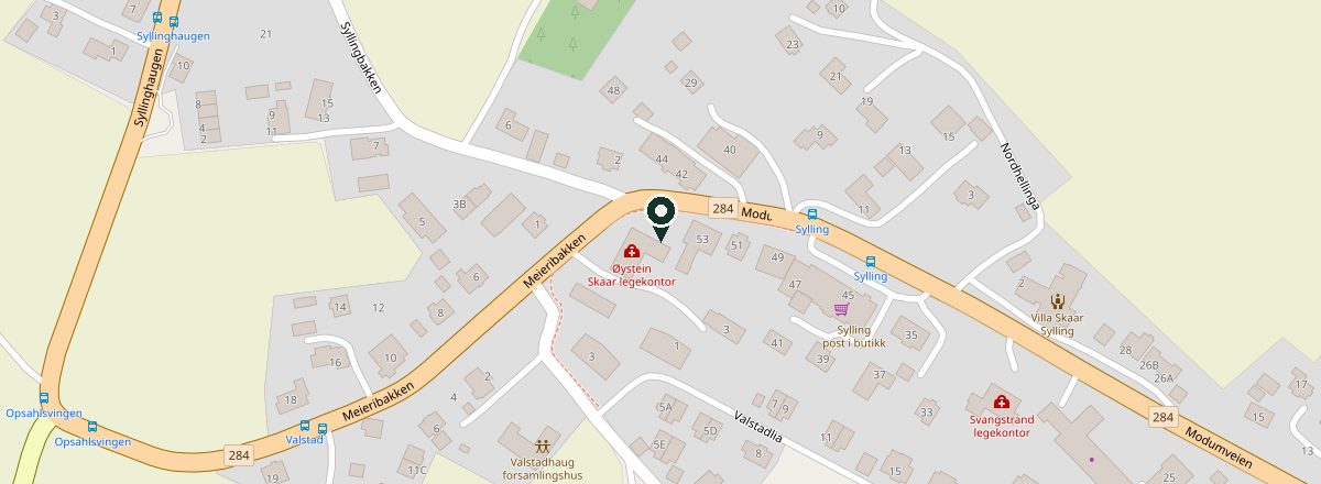 Kart som viser Sylling Helsesenter i Meieribakken 1, ved riksvei 284 i Sylling sentrum.